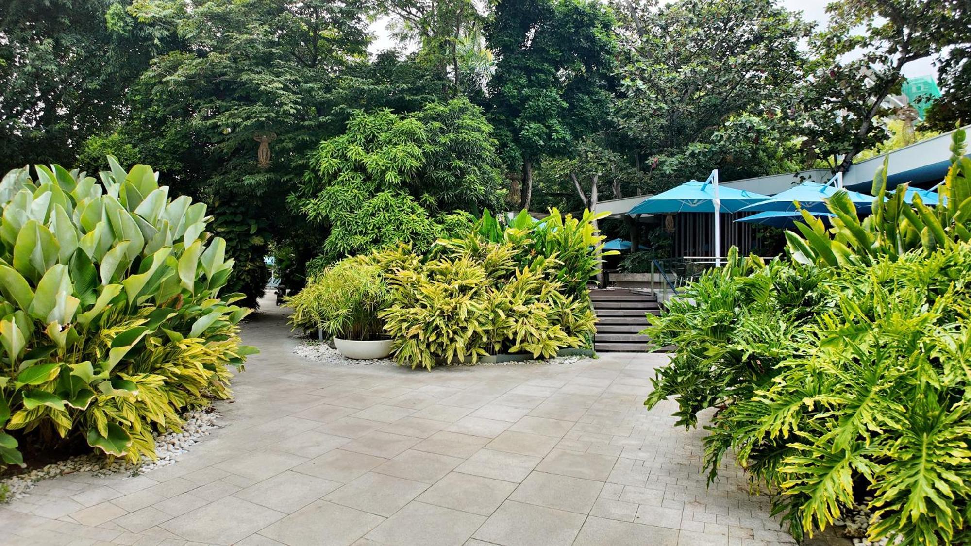 Dominiks Stylish Resort Gem Ocean View Pool Queen Bed At Tambuli 8 Floor Fast Wifi Lapu-Lapu City Buitenkant foto